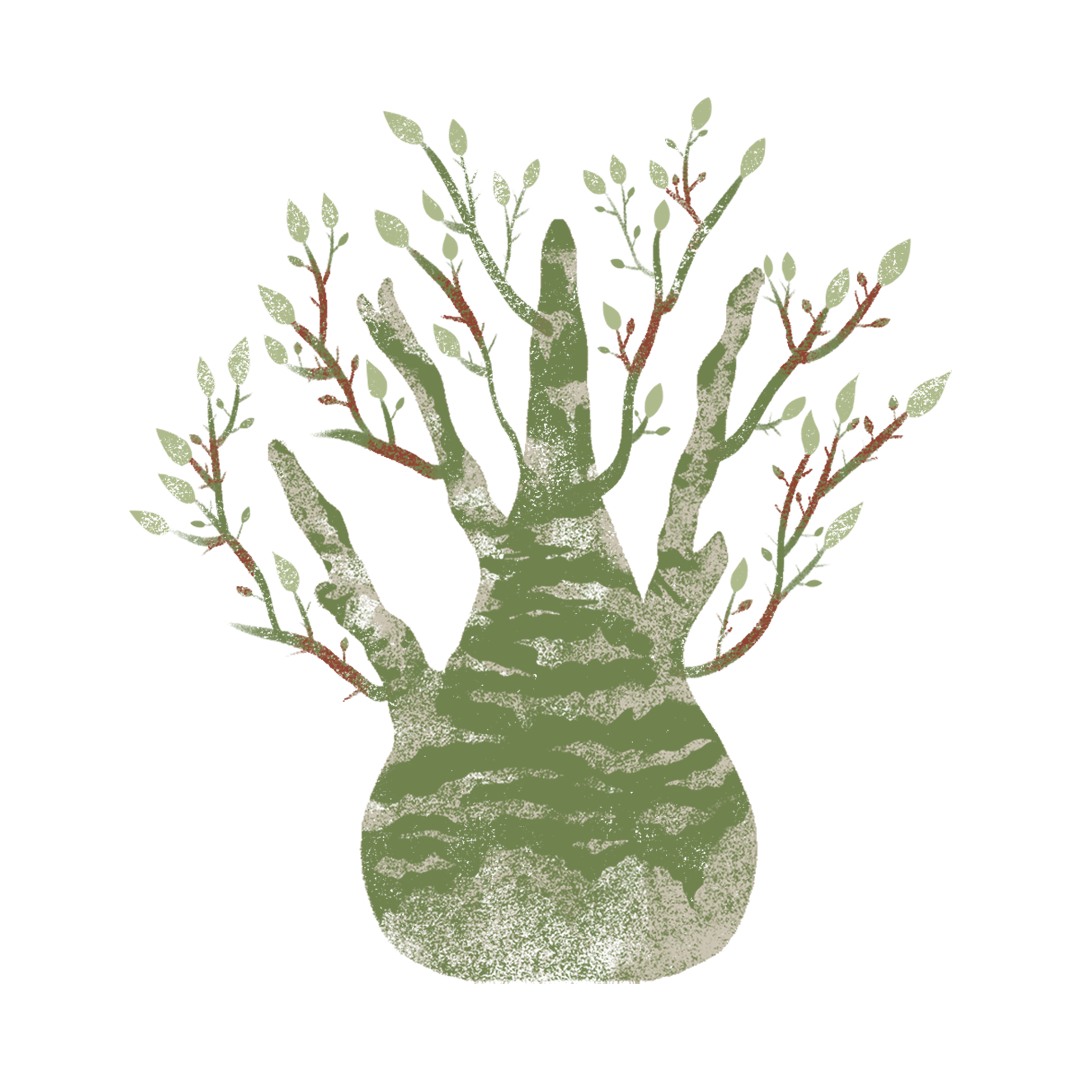 Neza Garden illustration.